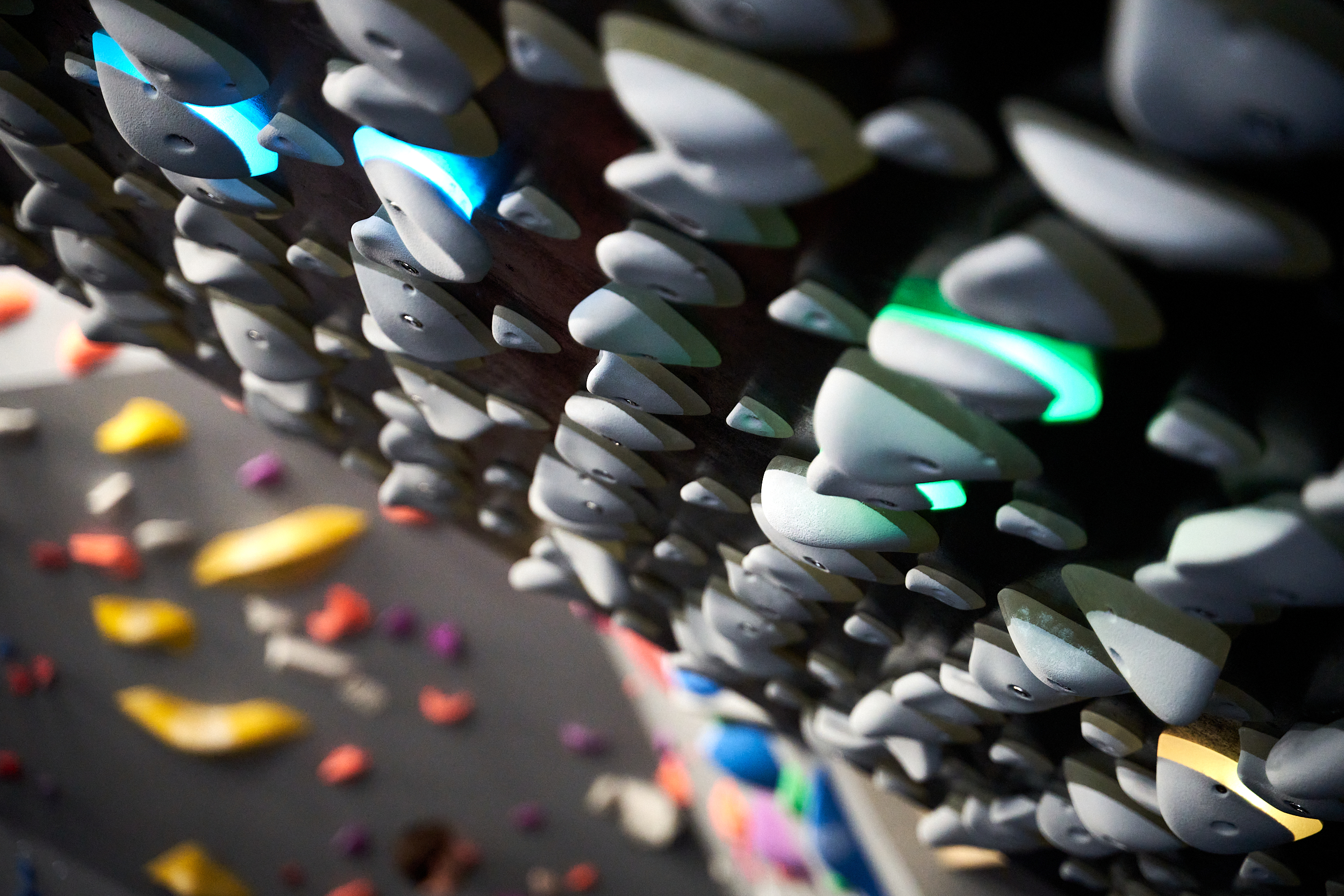 (CANVA TCH MATCHWORKS - Staff Day (OCTOBER 2023) ©Rob Battersby 95.jpg