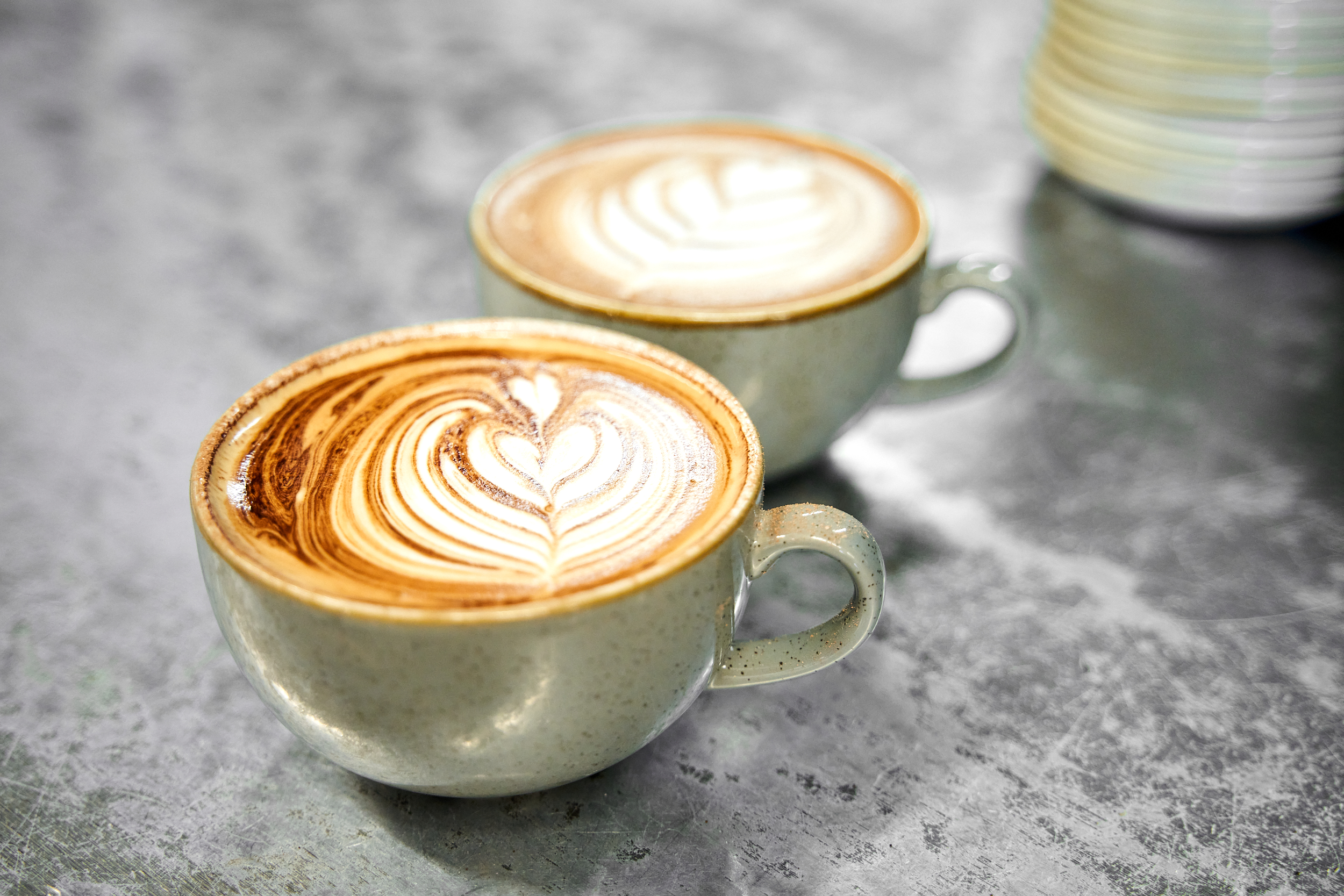 (WEBSITE 72dpi) TCH Sheffield - Photography (SEPTEMBER 2023) ©Rob Battersby 60.jpg