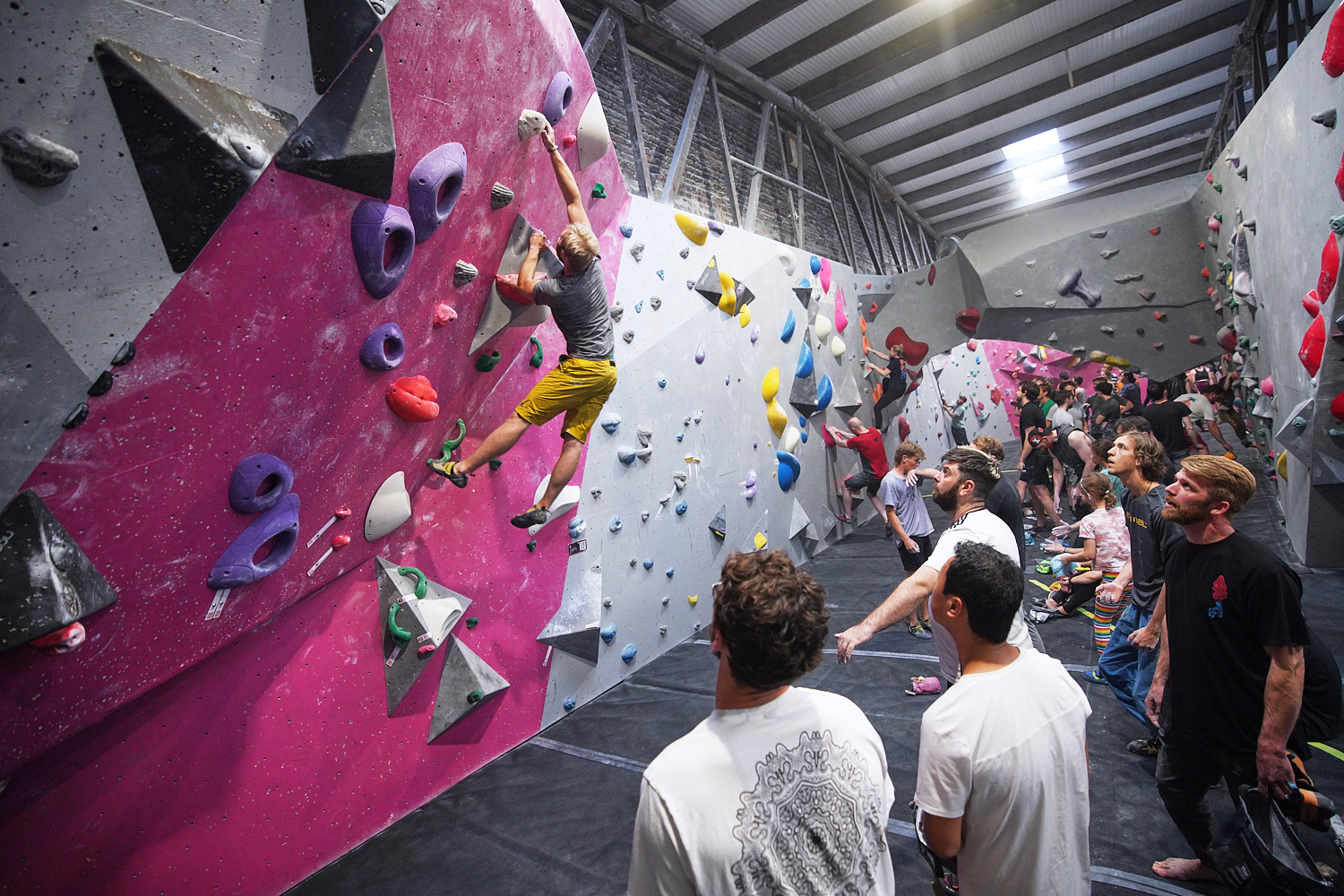 (WEBSITE 72dpi) TCH - Sandhillsl (OCTOBER 2023) ©Rob Battersby.jpg